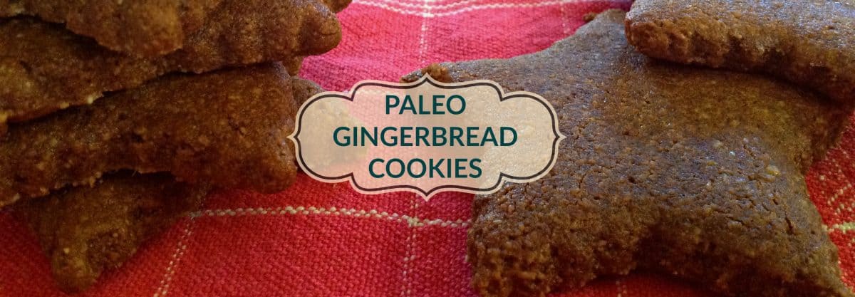 paleo gingerbread cookie recipe grain-free