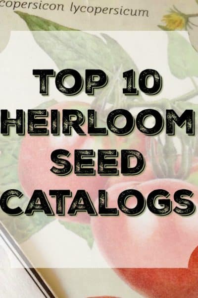 best heirloom seed companies