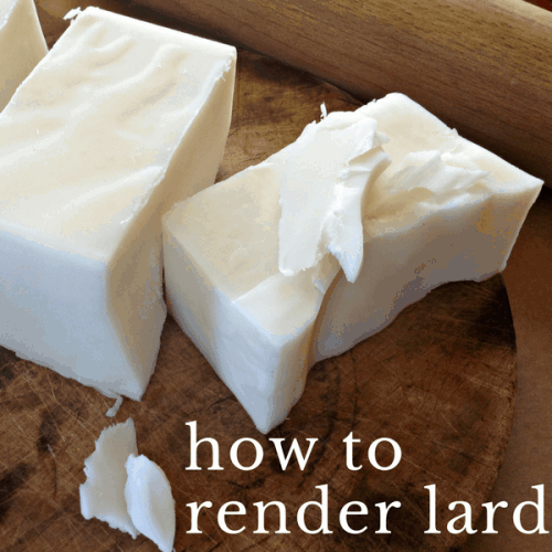 How to Render Suet Into Tallow Instant Pot, Stove Top, and Oven Methods Salt in my Coffee