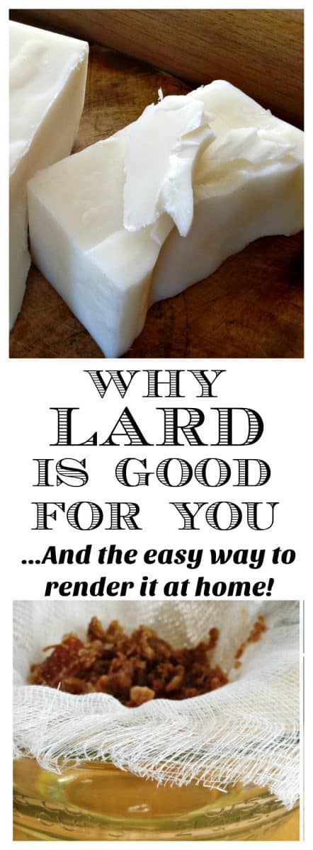 how to render lard