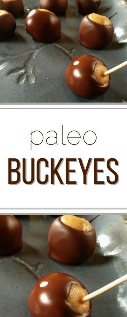 best ever paleo buckeyes