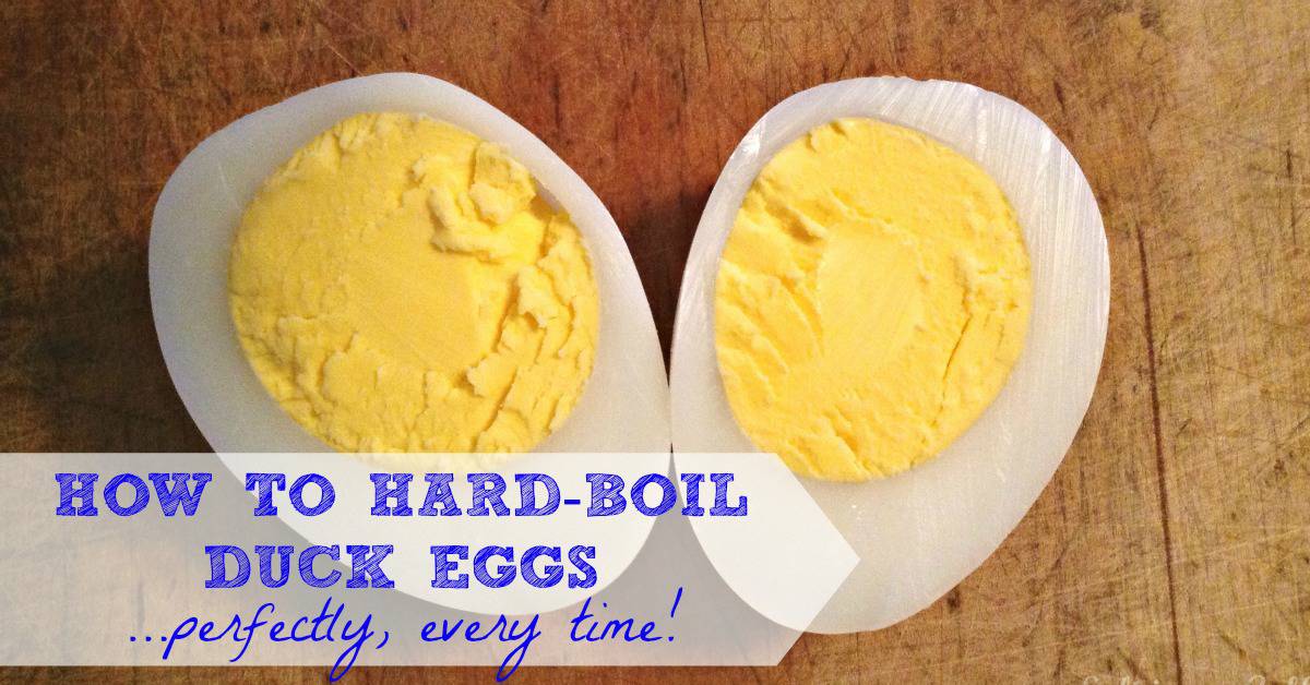 Perfect Hard-Boiled Duck Eggs