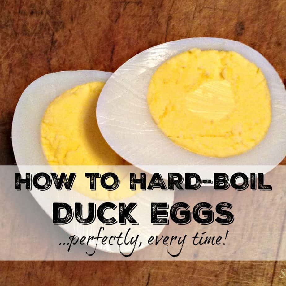 how to hard-boil duck eggs
