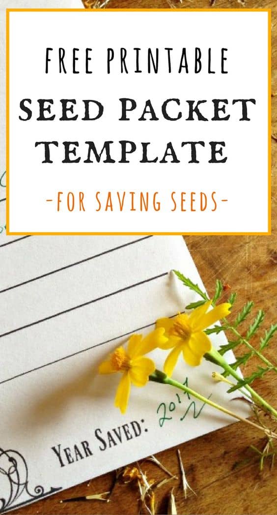 free printable seed packet