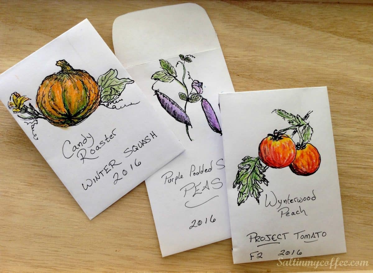 Printable Seed Packet Envelopes