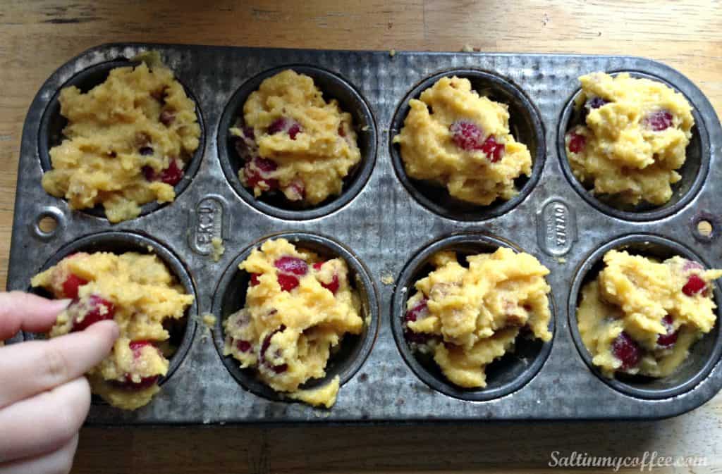 Paleo cranberry muffin recipe