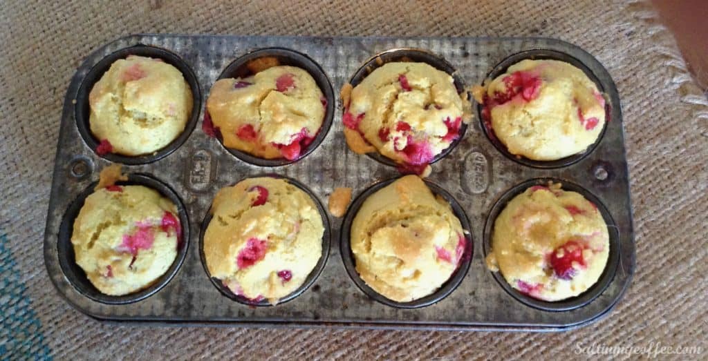 paleo cranberry nut muffins