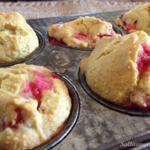 paleo cranberry nut muffins