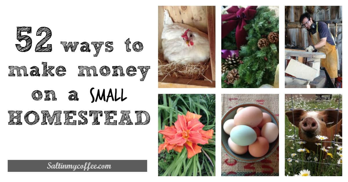 ways to make money as a homesteader