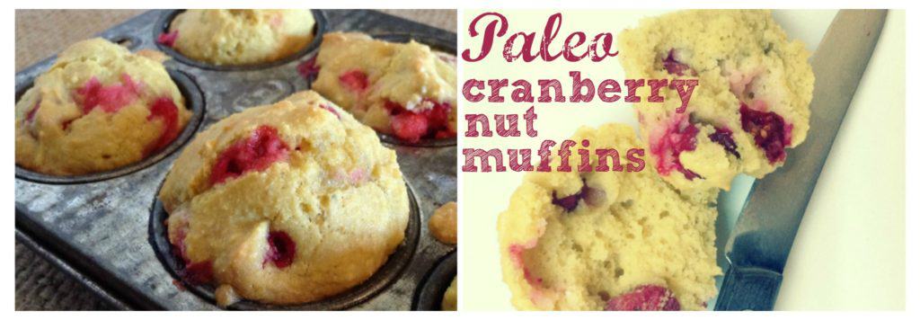 paleo-cranberry-nut-muffins-banner