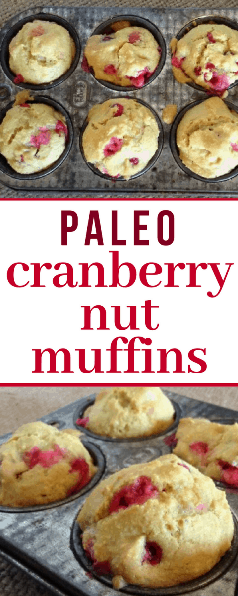 paleo cranberry nut muffins