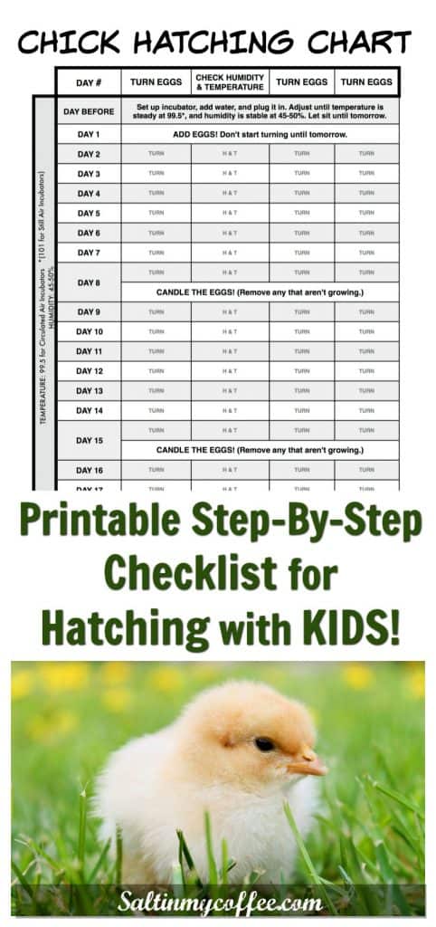 Printable Chick Hatching Checklist