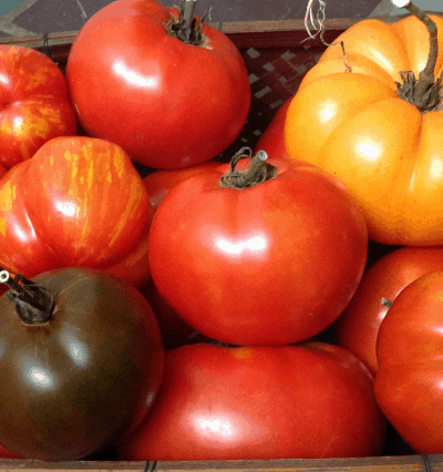 Best tasting heirloom tomatoes