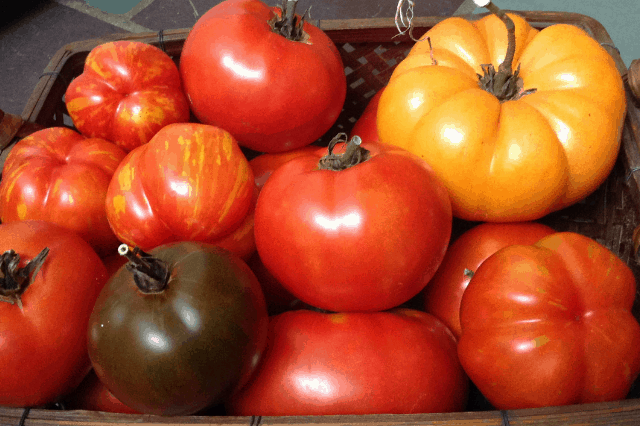 Best tasting heirloom tomatoes