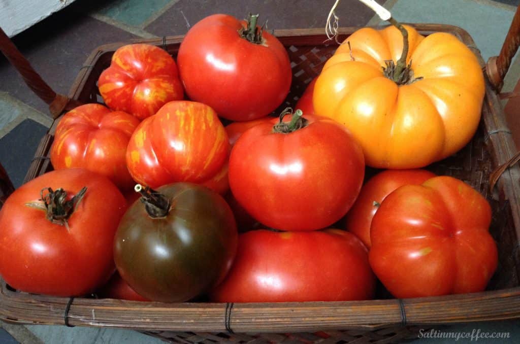 best-tasting heirloom tomatoes