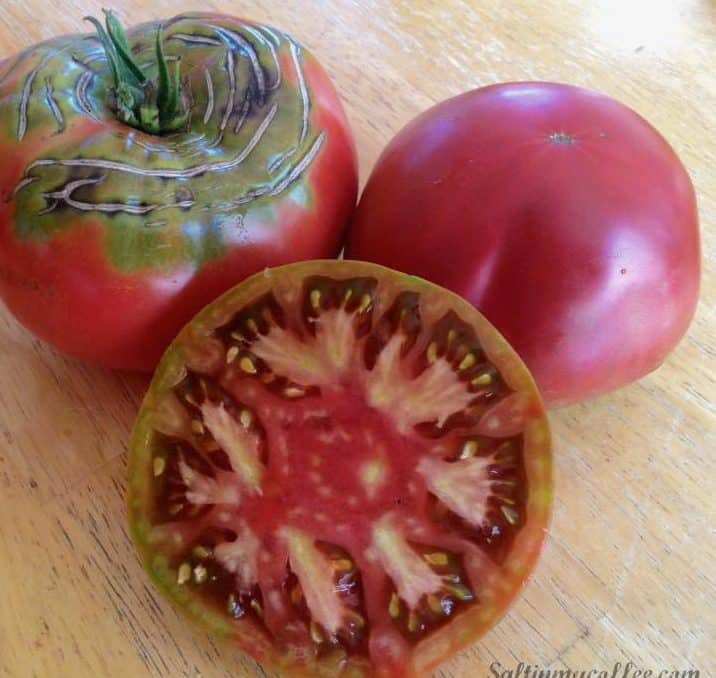 Cherokee Purple Heriloom Tomato