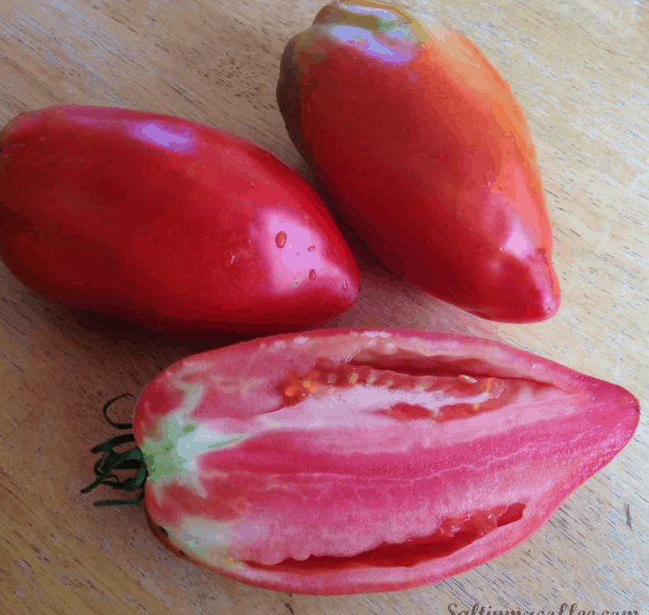 Hog Heart Best Heirloom Tomatoes for Northern Gardens
