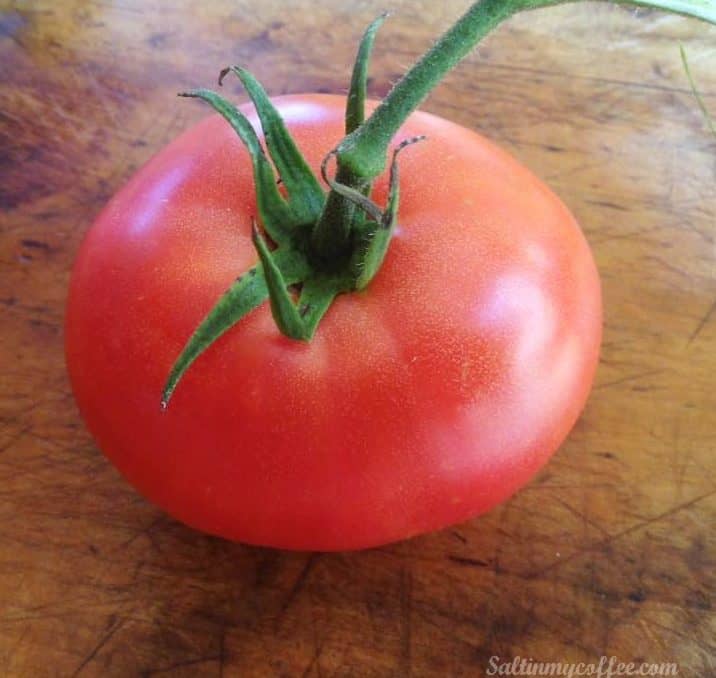 Rose de Berne best tasting heirloom tomatoes for northern climate