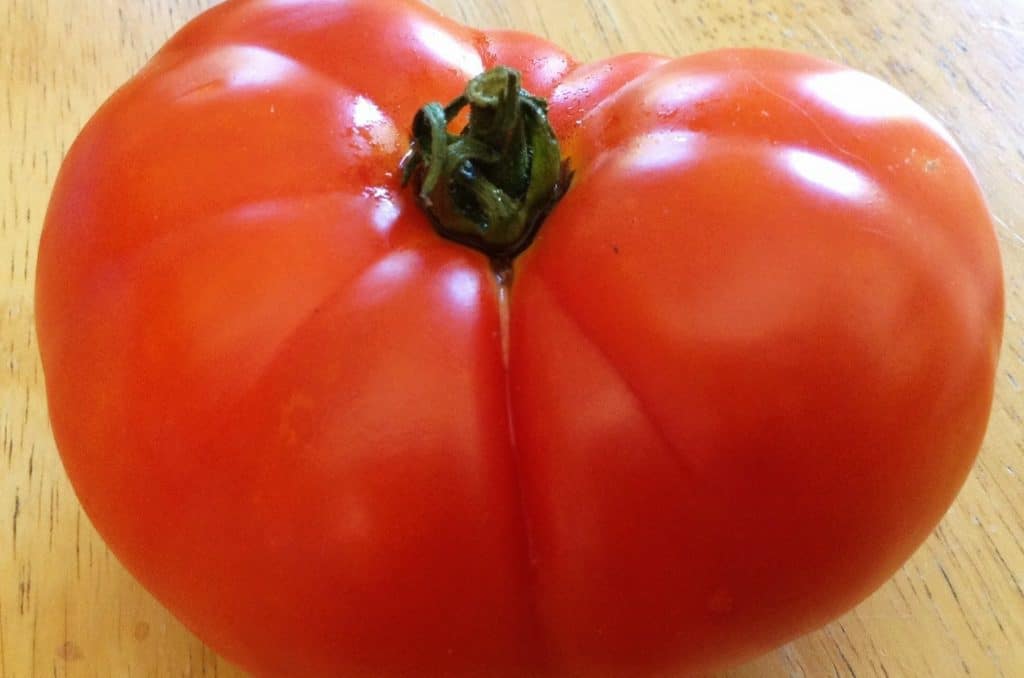 Soldaki Heirloom Tomato