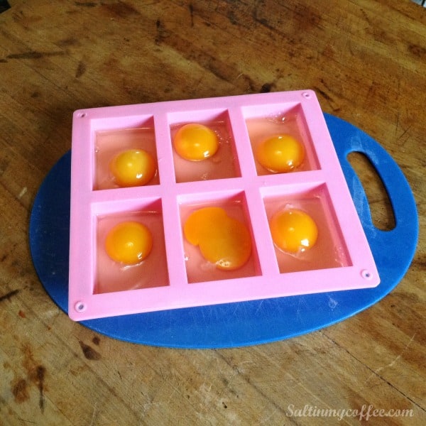 How to freeze chicken eggs