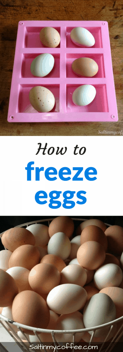 how to freeze eggs