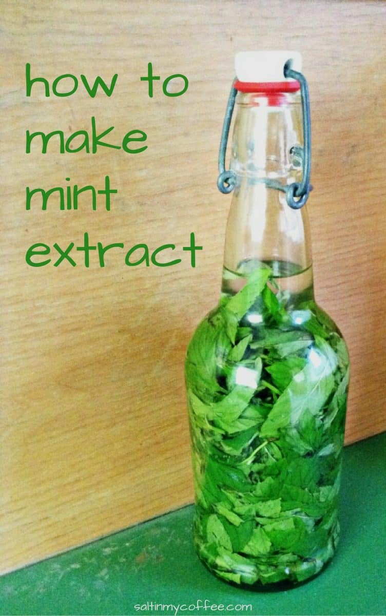 how to make mint extract