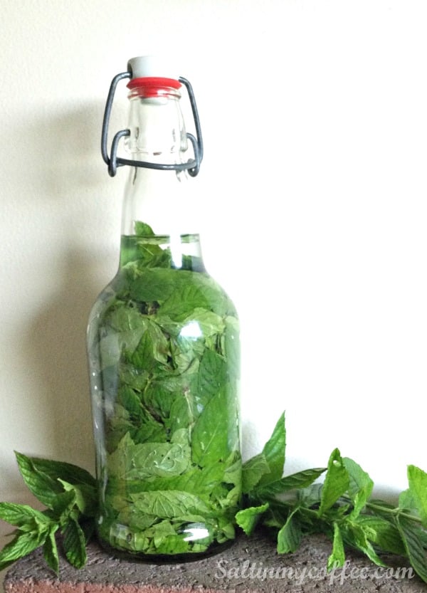 make your own mint extract