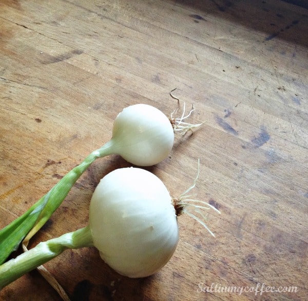 how to make onion powder