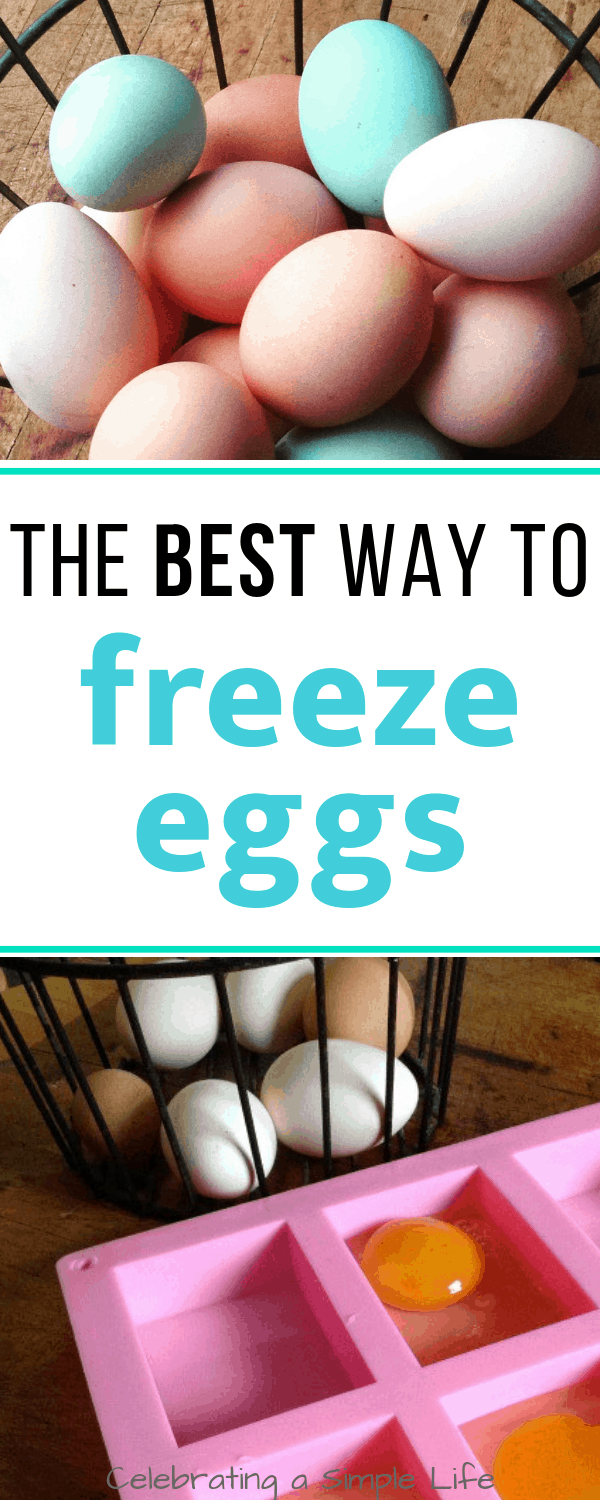 the best way to freeze eggs
