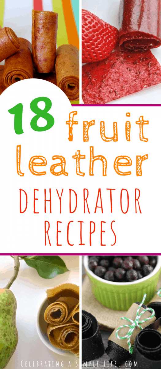 fruit leather dehydrator recipes