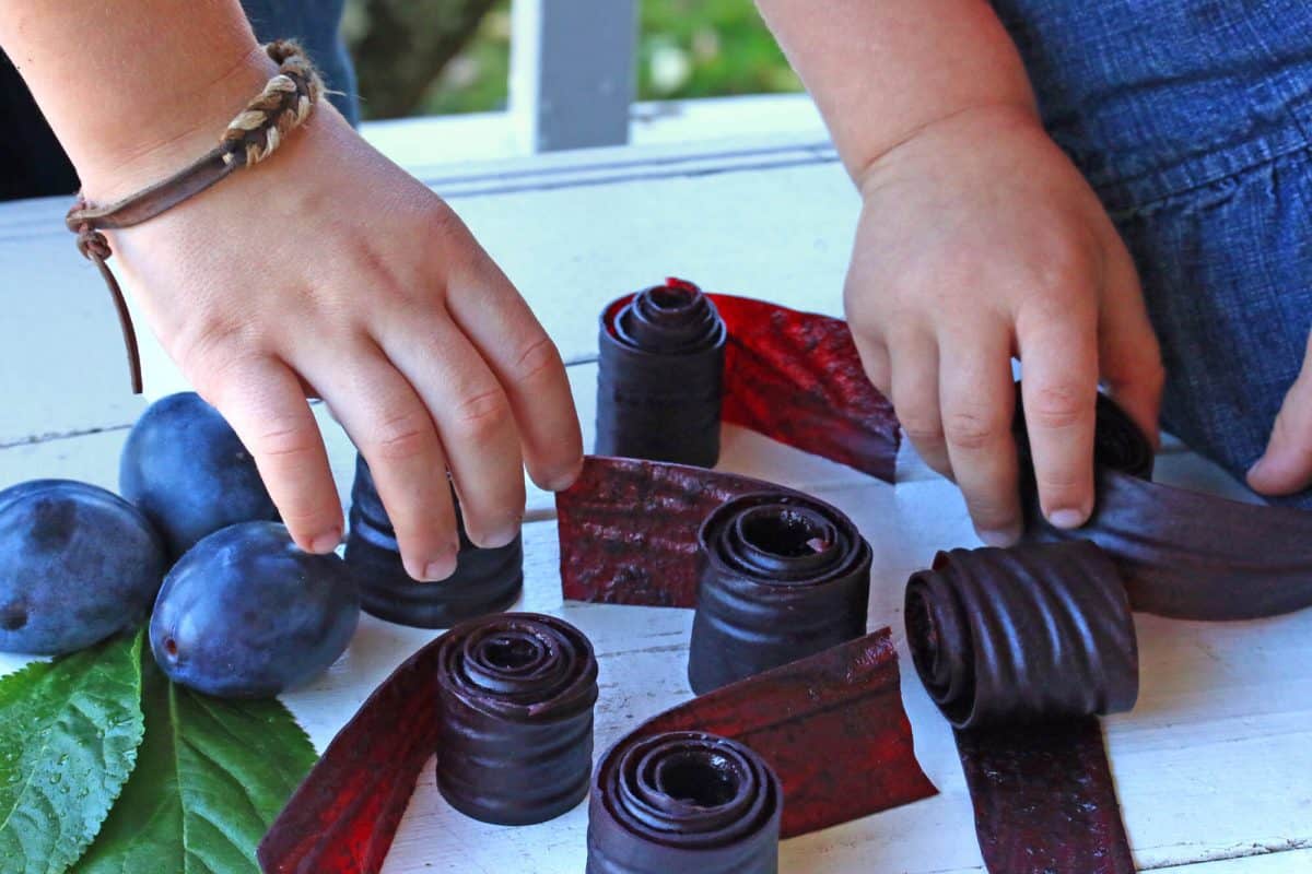 plum fruit leather