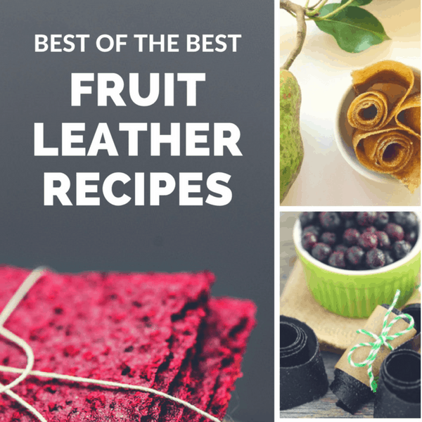 18 Amazing Fruit Leather Dehydrator Recipes - Salt in my Coffee