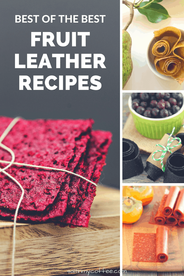 best fruit leather recipes