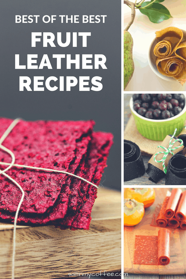 18 Amazing Fruit Leather Dehydrator Recipes - Salt in my Coffee