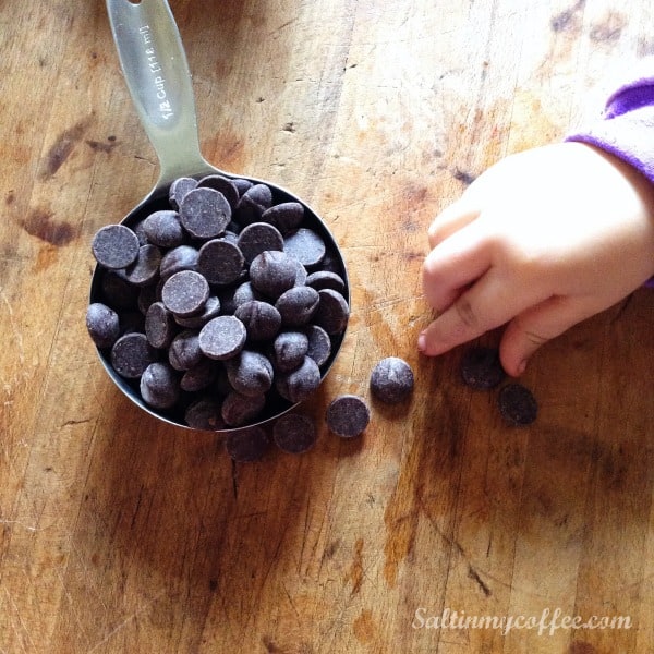 coconut flour chocolate chip cookies