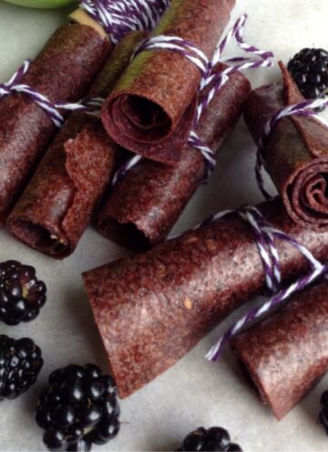 18 Amazing Fruit Leather Dehydrator Recipes - Salt in my Coffee