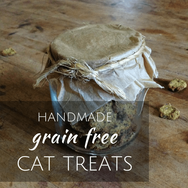 Homemade cat on sale treats grain free