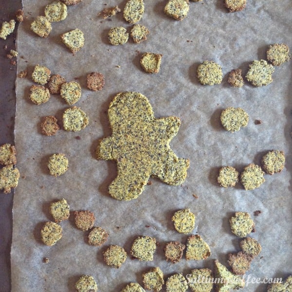 grain free kitty treats recipe