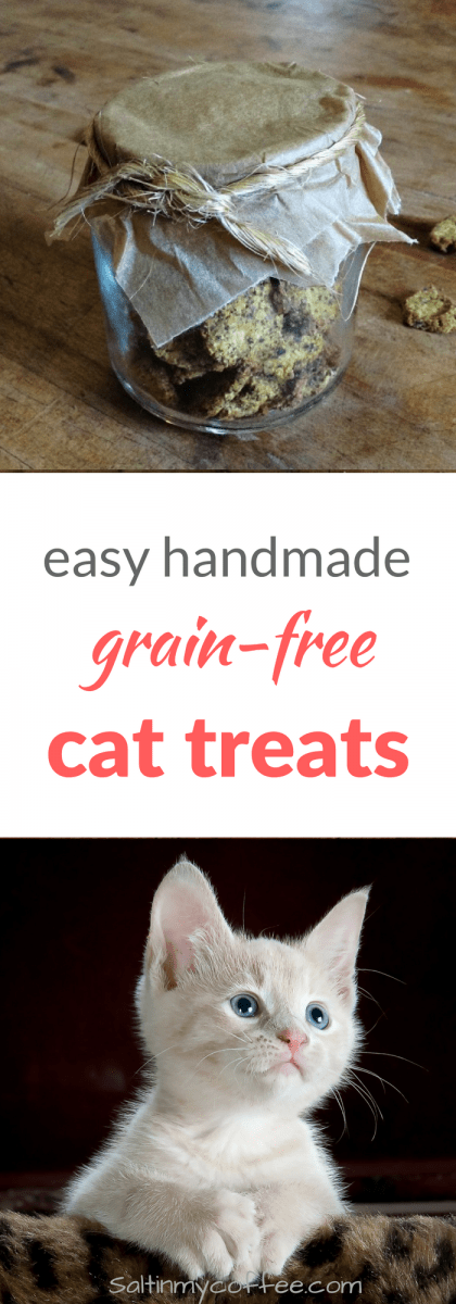 Homemade crunchy hotsell cat treats