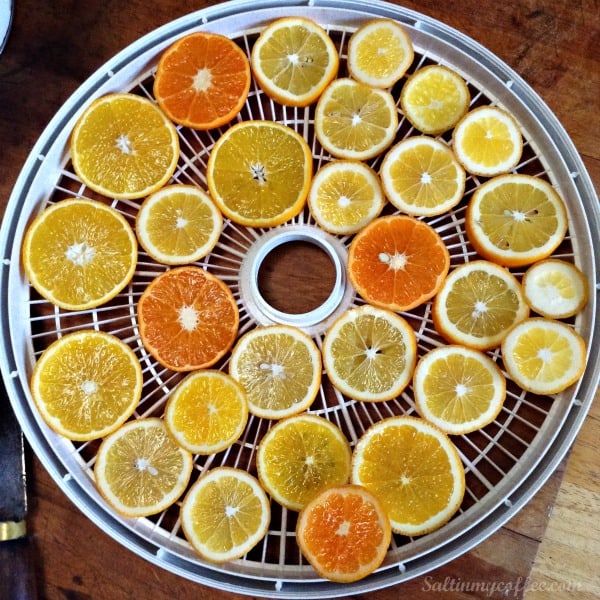 how to dehydrate citrus for garlands