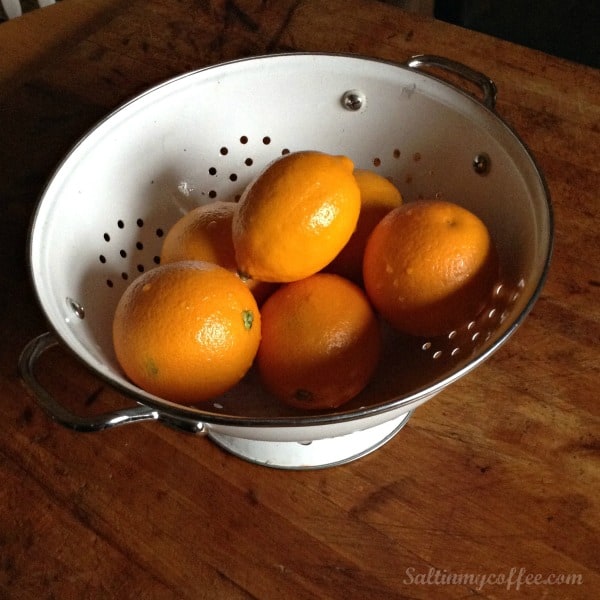 how to dry citrus for garland making