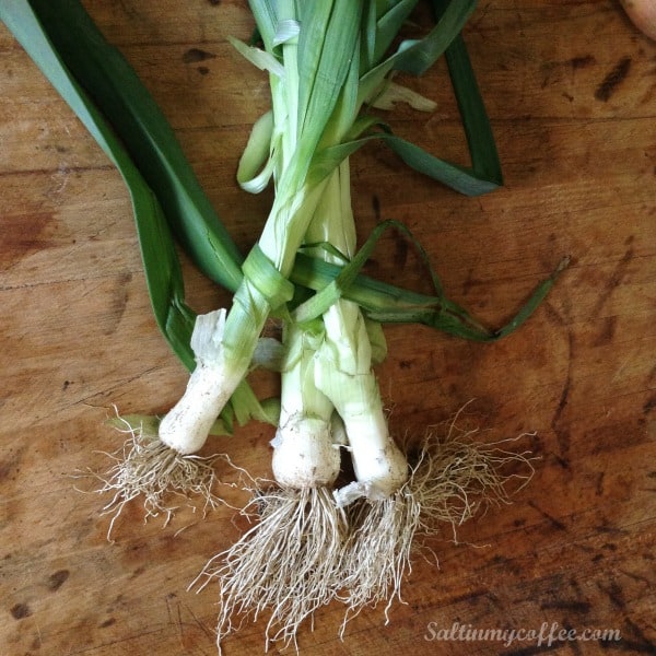 How to make leek powder