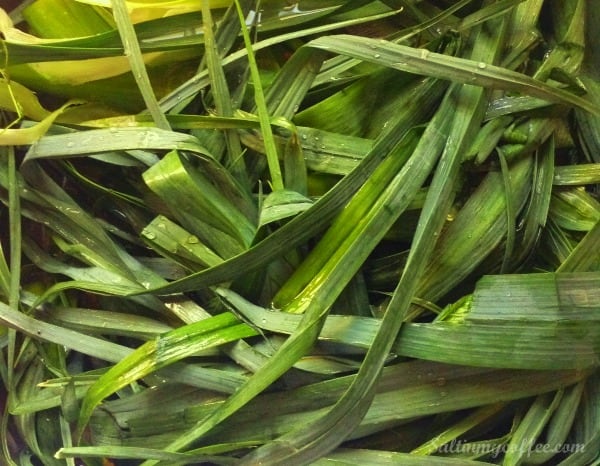 make leek powder from leftover tops