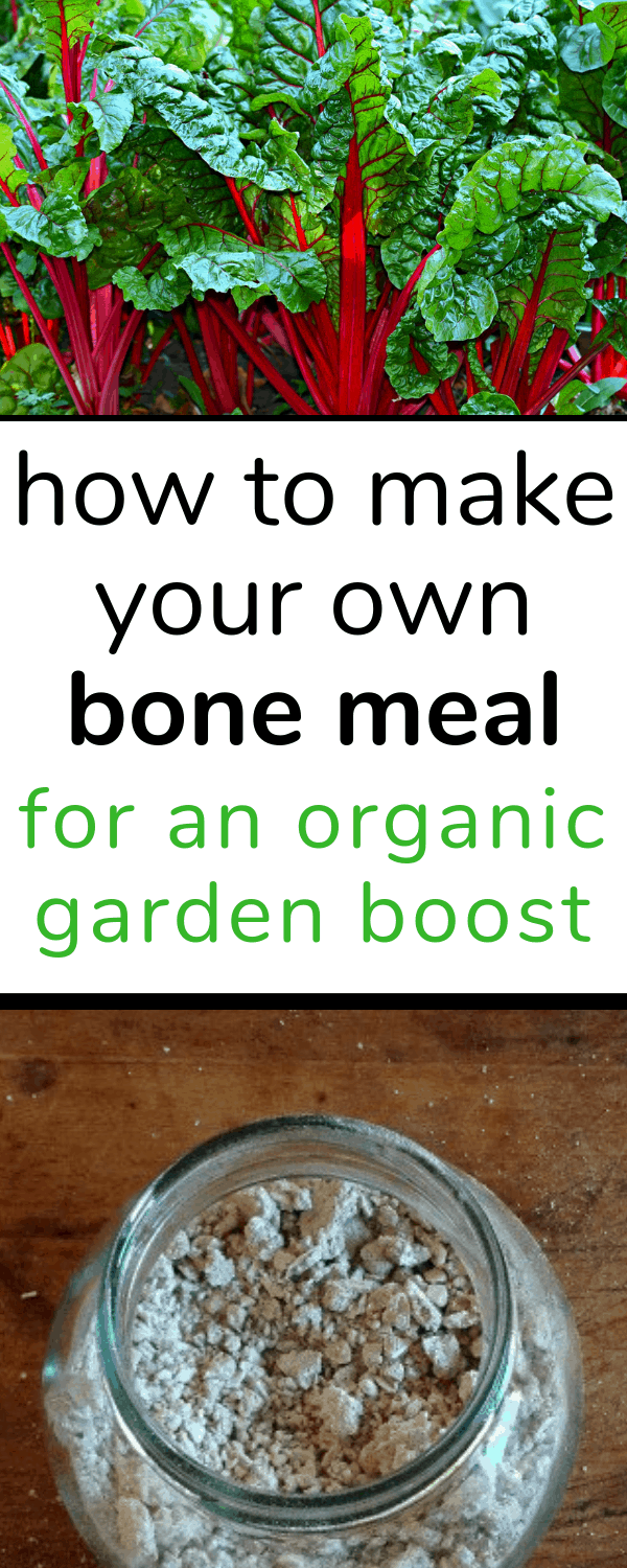 how to make your own bone meal