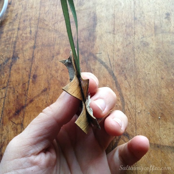 ornaments made from birch bark