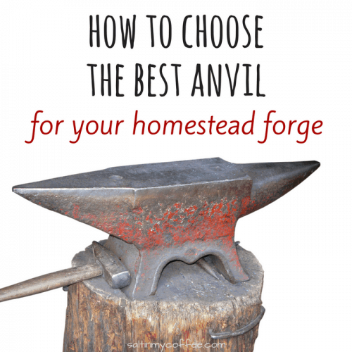 how to choose the best anvil for a homestead forge