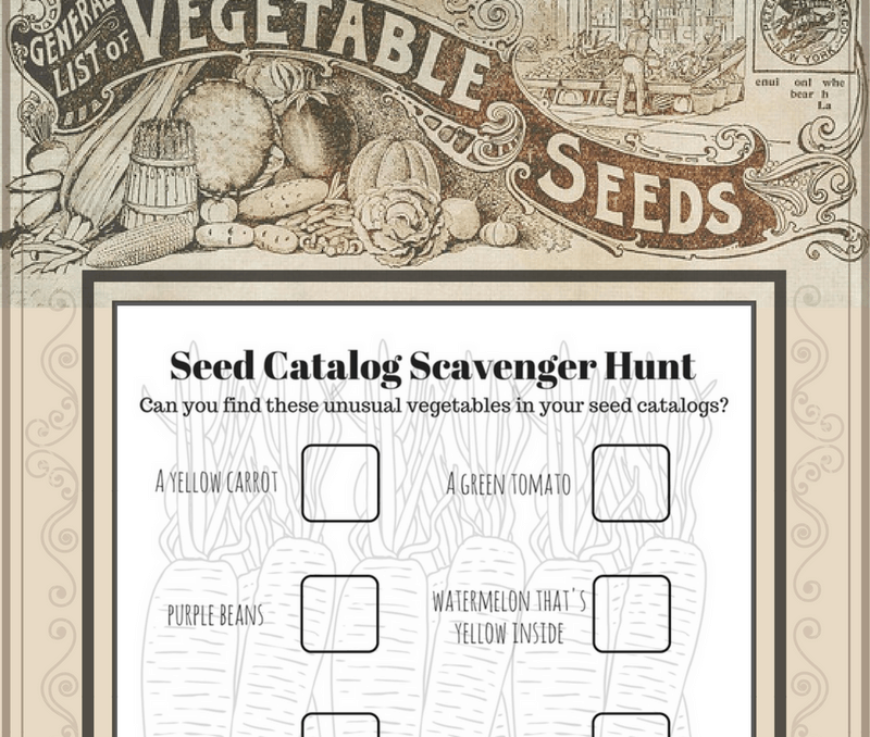 seed catalog scavenger hunt
