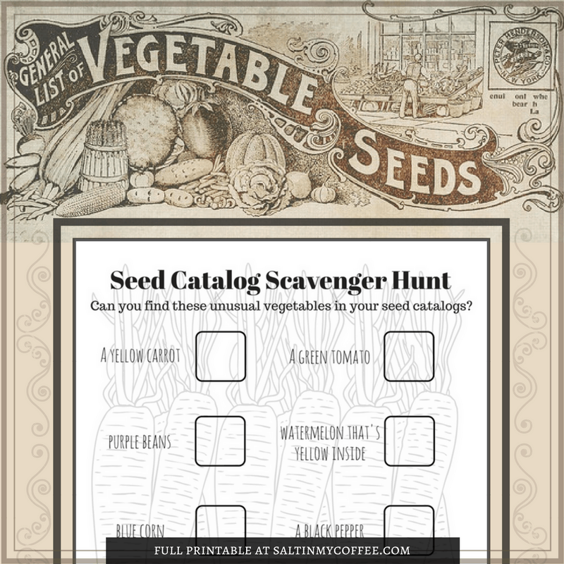 seed catalog scavenger hunt