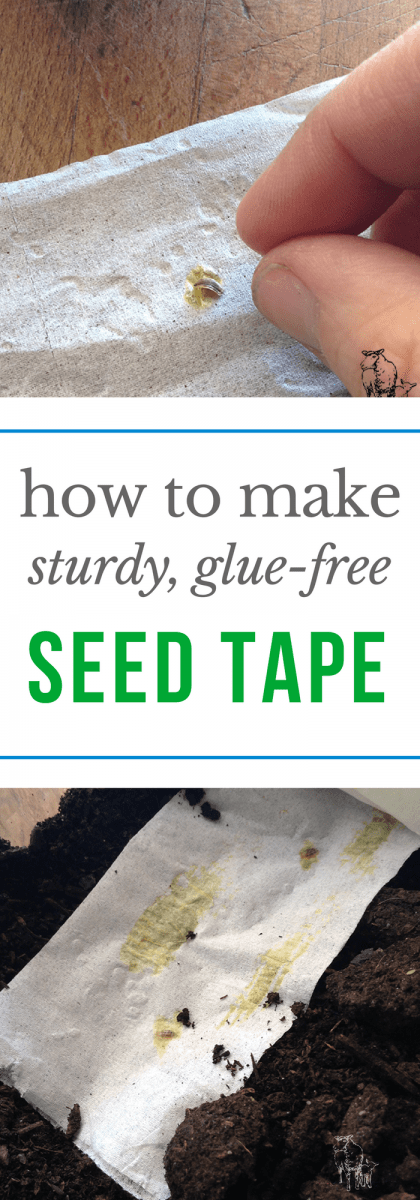 diy seed tape