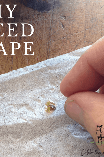 diy seed tape
